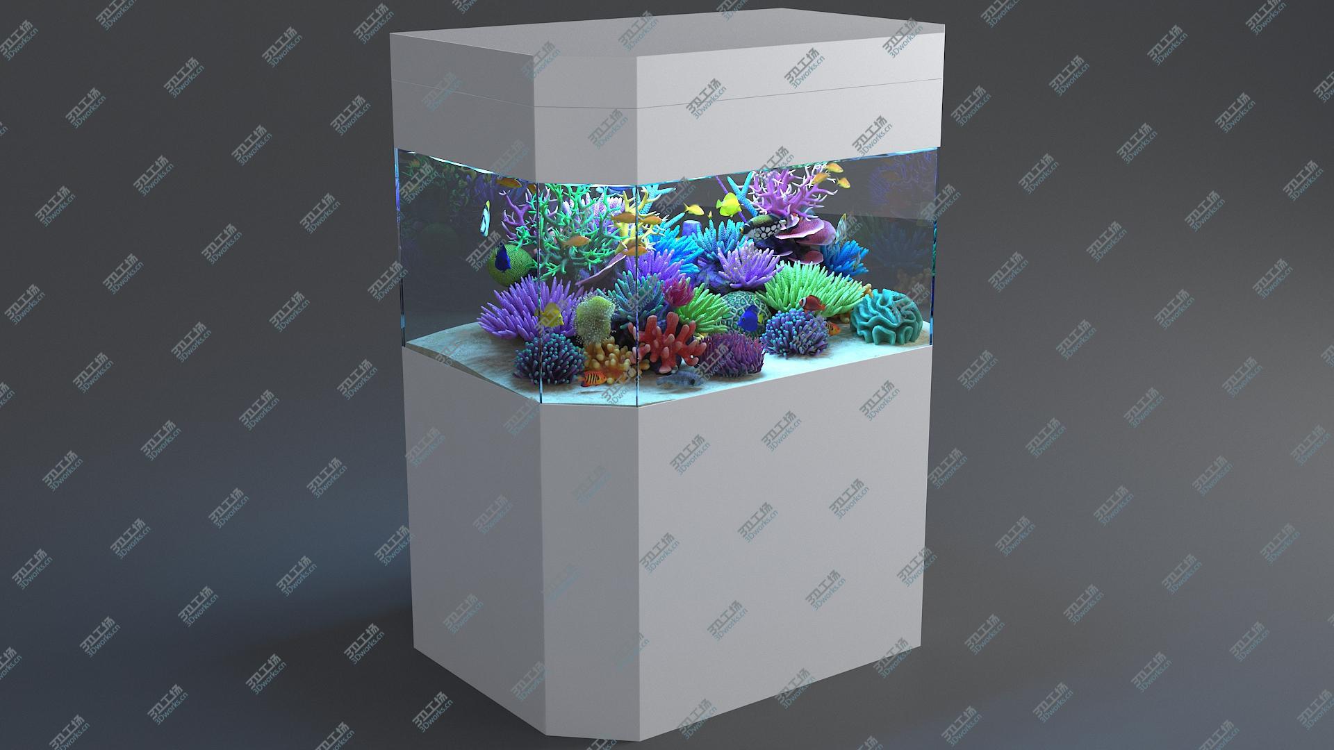 images/goods_img/202104093/3D Aquarium 04 model/2.jpg